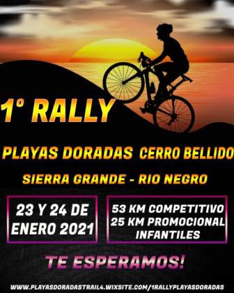 Rally01