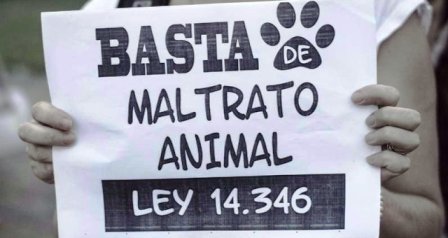 MaltratoAnimal